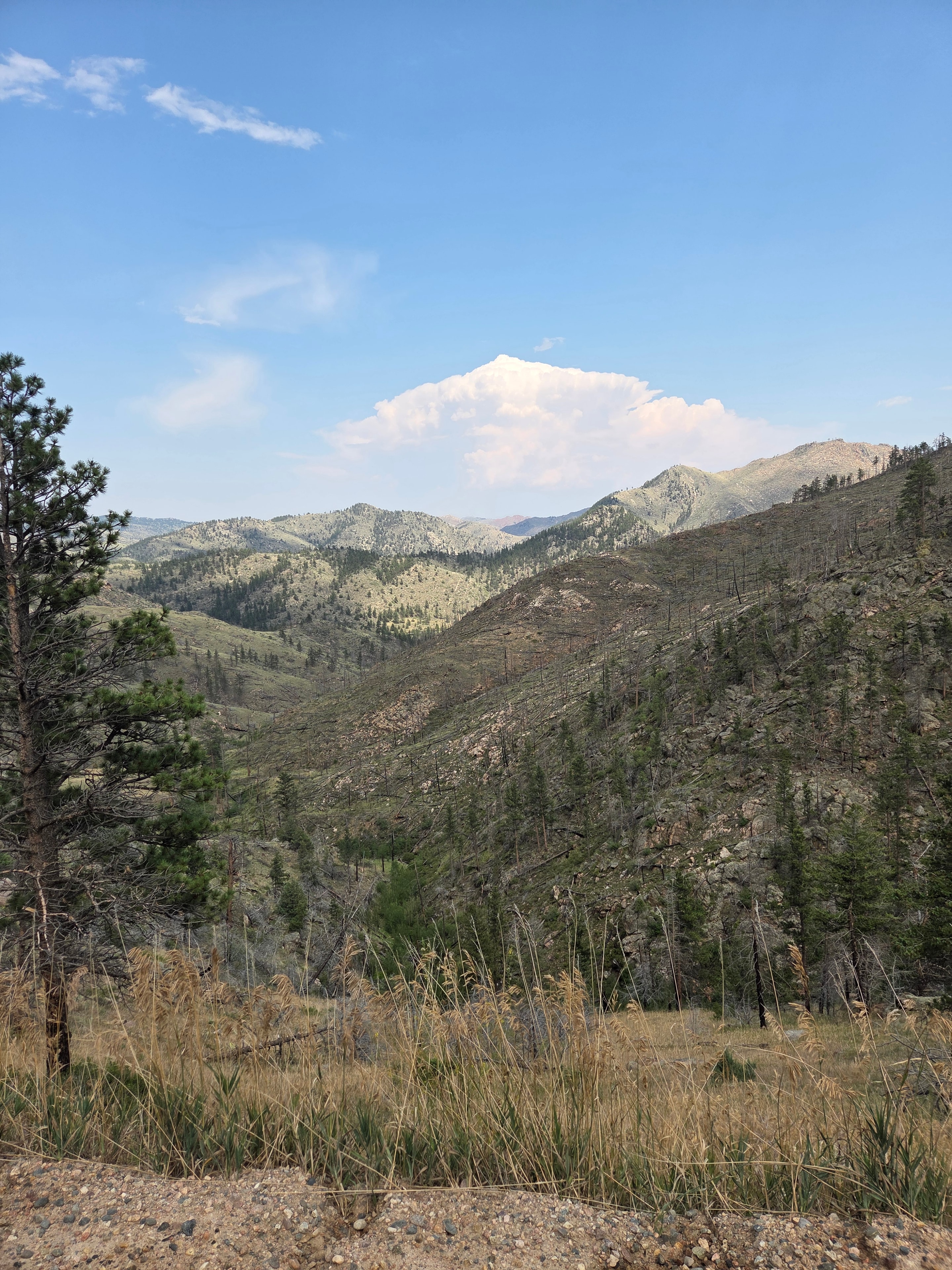 Buckhorn Ridge Views